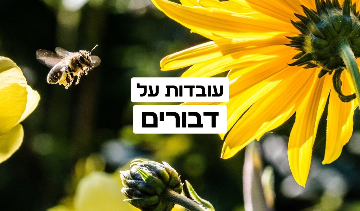 עובדות על דבורים