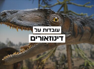 עובדות על דינוזאורים